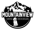 Mountainview Mini Doodles